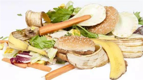 餐廚垃圾處理 餐廚垃圾處理